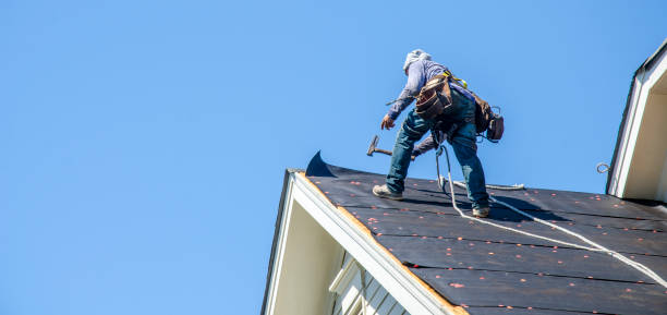 Best Roof Replacement Cost  in Ames, TX